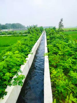 河南淮滨高标准农田建设项目